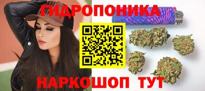 сатива Бийск