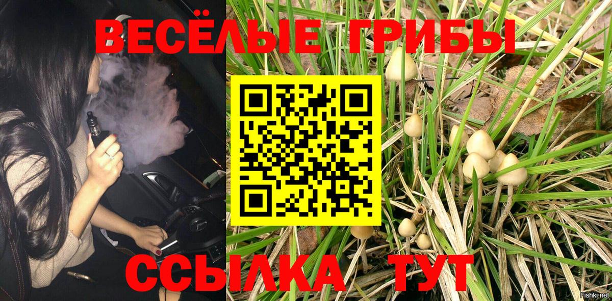 Псилоцибиновые грибы MAGIC MUSHROOMS  Галлюциногенные грибы Psilocybine cubensis  Вход с VPN  Кириши 