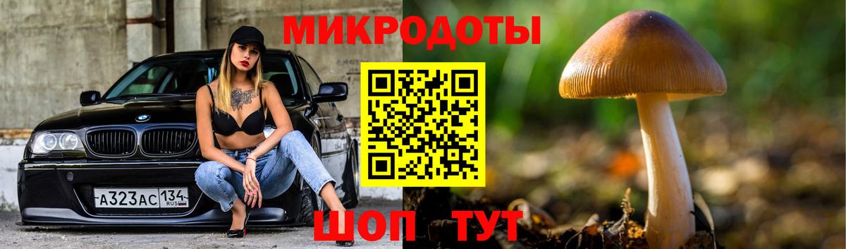 Псилоцибиновые грибы MAGIC MUSHROOMS Кириши